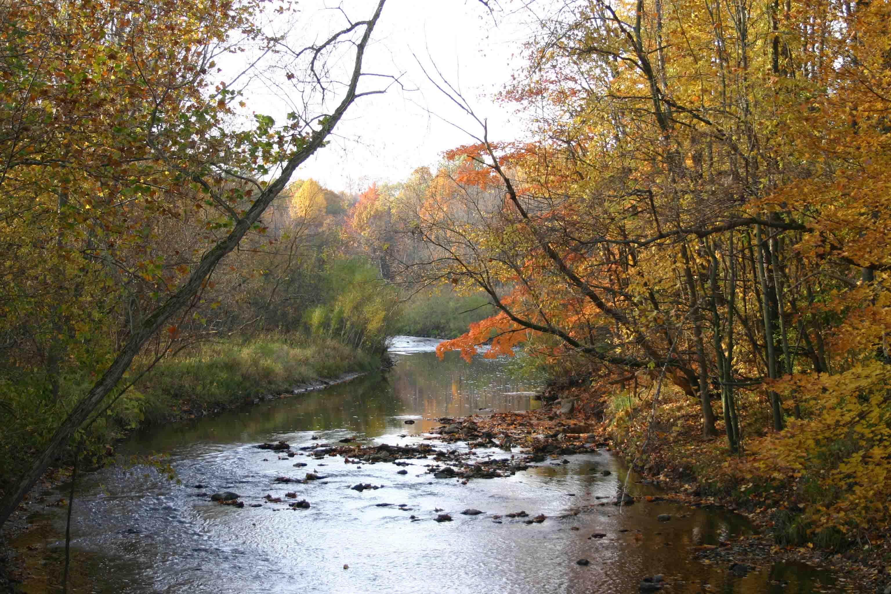 Rocky River, Ohio